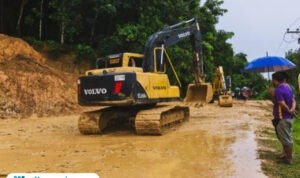 Ilustrasi kondisi pasca banjir bandang dan tanah longsor/istock
