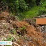 Ilustrasi longsor/istock