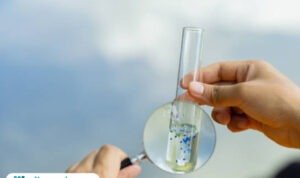 Ilustrasi mikroplastik/istock