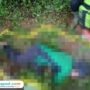 Warga Wnosobo Ditemukan Tewas di Kebun Salak/ Polres Wonosobo