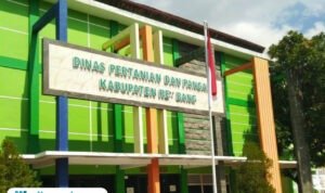 Kantor Dinas Pertanian dan Pangan (Dintanpang) Rembang /rembangkab Penerima Pupuk Subsidi