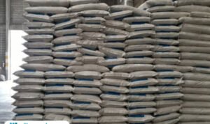 Ilustrasi bantuan beras dari UEA/istock