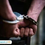 Ilustrasi Bajing Loncat/istock