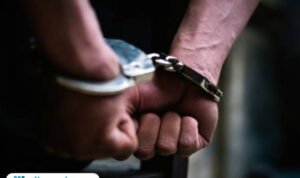 Ilustrasi Bajing Loncat/istock