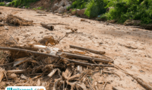 Relawan Cina di Aceh Hadapi Tantangan Evakuasi Korban Banjir, Masih Banyak Puing Kayu
