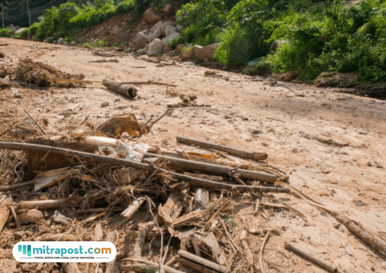 Relawan Cina di Aceh Hadapi Tantangan Evakuasi Korban Banjir, Masih Banyak Puing Kayu