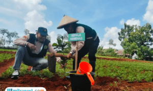 Implementasi Program Prioritas, Kemenag Pati Tanam Seribu Bibit Pohon Buah