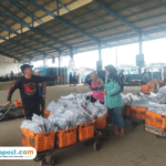 Tangkapan Ikan Laut di Pati Per November Capai 56.845 ton