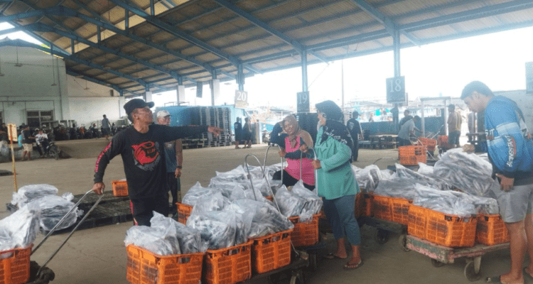 Tangkapan Ikan Laut di Pati Per November Capai 56.845 ton