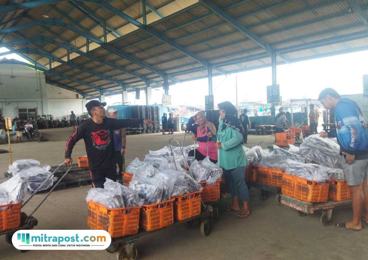 Tangkapan Ikan Laut di Pati Per November Capai 56.845 ton