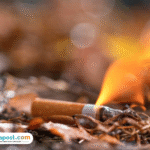 Kebakaran Rumah dan Kandang Sapi di Blora, Diduga karena Puntung Rokok