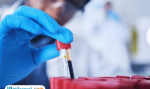 Ilustrasi Permintaan Maaf dari Aparat yang Curigai Penjual Es Kue Jadul, Hasil Uji Labfor Berakhir Baik