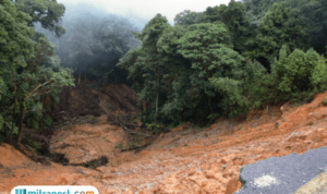 Bencana Tanah Longsor Hantam Desa Tempur Jepara, 3.522 Warga Masih Terisolasi