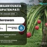 Cek Cuaca Kabupaten Pati Senin, 5 Januari 2026 Cek Cuaca Kabupaten Pati Senin, 5 Januari 2026