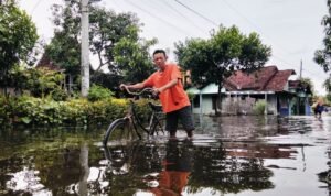 Foto : Aktivitas warga Desa Sidoarum Kecamatan Jakenan melintasi akses jalan yang tergenang banjir. (Sumber. Mitrapost.com/ Ilham)