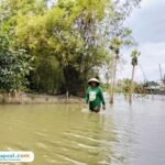 Foto : Kondisi banjir di Desa Karangrowo, belum lama ini. (Sumber. Mitrapost.com/ Ilham)