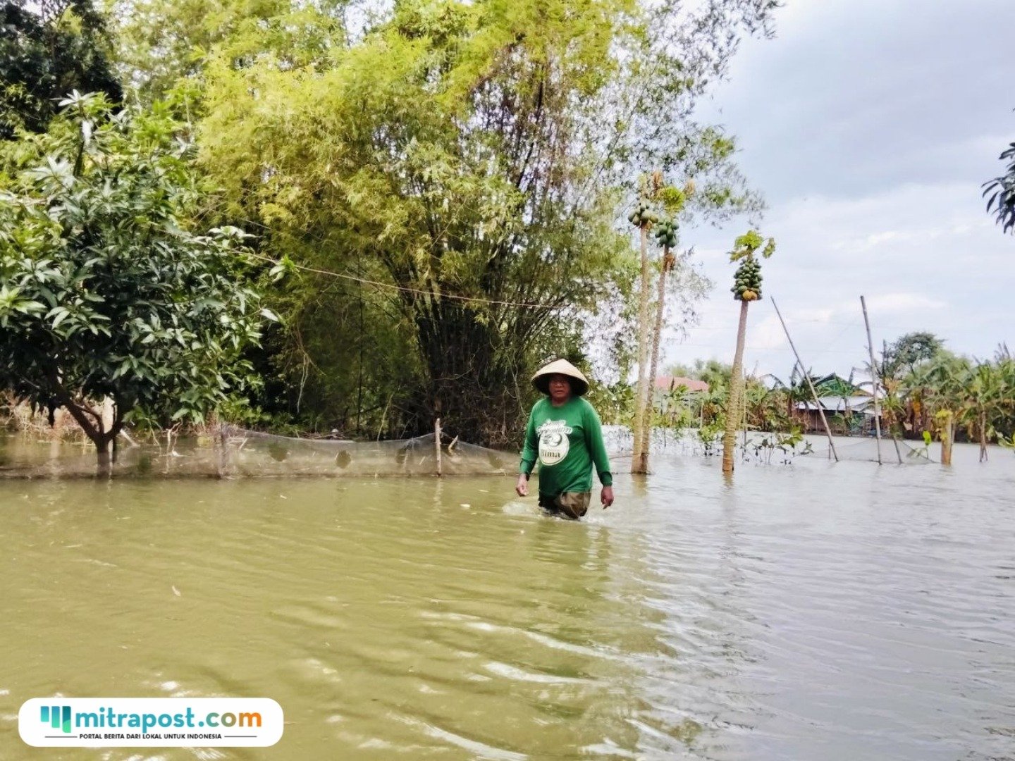 Foto : Kondisi banjir di Desa Karangrowo, belum lama ini. (Sumber. Mitrapost.com/ Ilham)