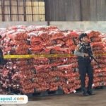 Barang bukti bawang bombai ilegal/tribatranews