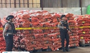 Barang bukti bawang bombai ilegal/tribatranews