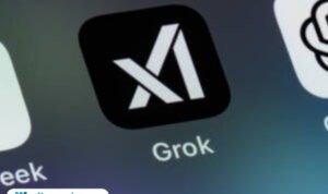 Ilustrasi Grok/istock Kebijakan Baru