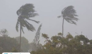 Ilustrasi angin kencang Gianyar/istock