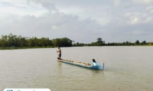 Foto : Rukin seorang petani Desa Banjarsari, Kecamatan Gabus menaikan perahu melintasi lahan sawahnya. (Sumber. Mitrapost.com/ Ilham)