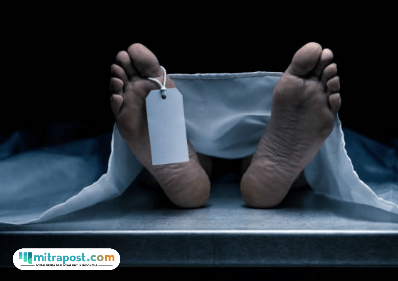 5 Orang Tewas dalam Kecelakaan Beruntun di Jalan Padang Panjang-Bukittinggi Sumbar