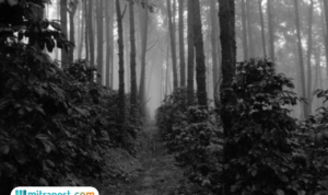 Hingga Penutupan Pencarian, Keberadaan Pendaki Hilang di Gunung Slamet Masih Misteri