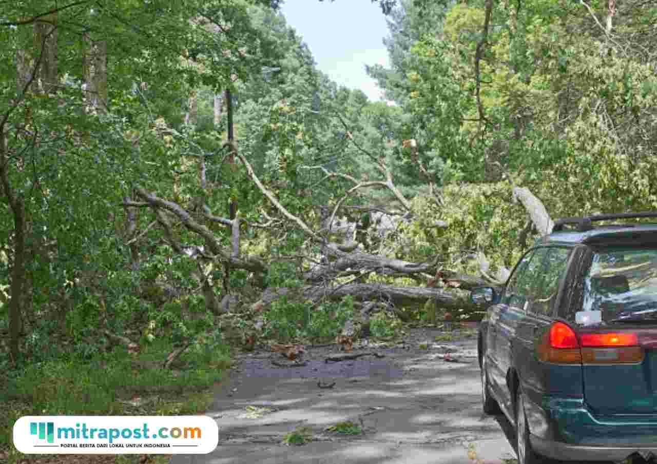 Ilustrasi blokade jalan/istock