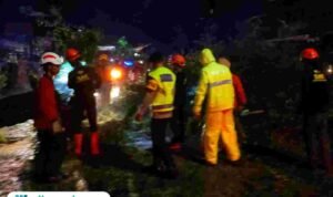 Penanganan Pohon Besar Tumbang/Polres Pekalongan