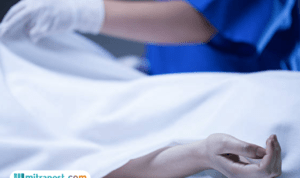 pt-antam-bogor 5 Orang Dilaporkan Tewas Akibat Paparan Gas di Area Tambang PT Antam Bogor, Evakuasi Masih Dilakukan