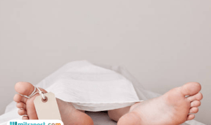 Bangkai KM Putri Sakinah Ditemukan Bersama Jasad Anak Pelatih Tim Valencia