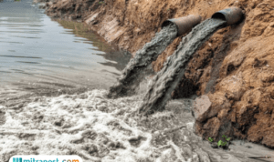 Menteri LH Gugat PT Biotek Saranatama Terkait Cairan Pestisida yang Cemari Sungai Jeletreng Tangsel