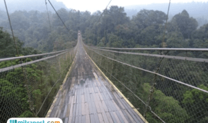 Destinasi Wisata Jembatan Gantung Situ Gunung Sukabumi Jadi yang Terpanjang se-Asia Tenggara