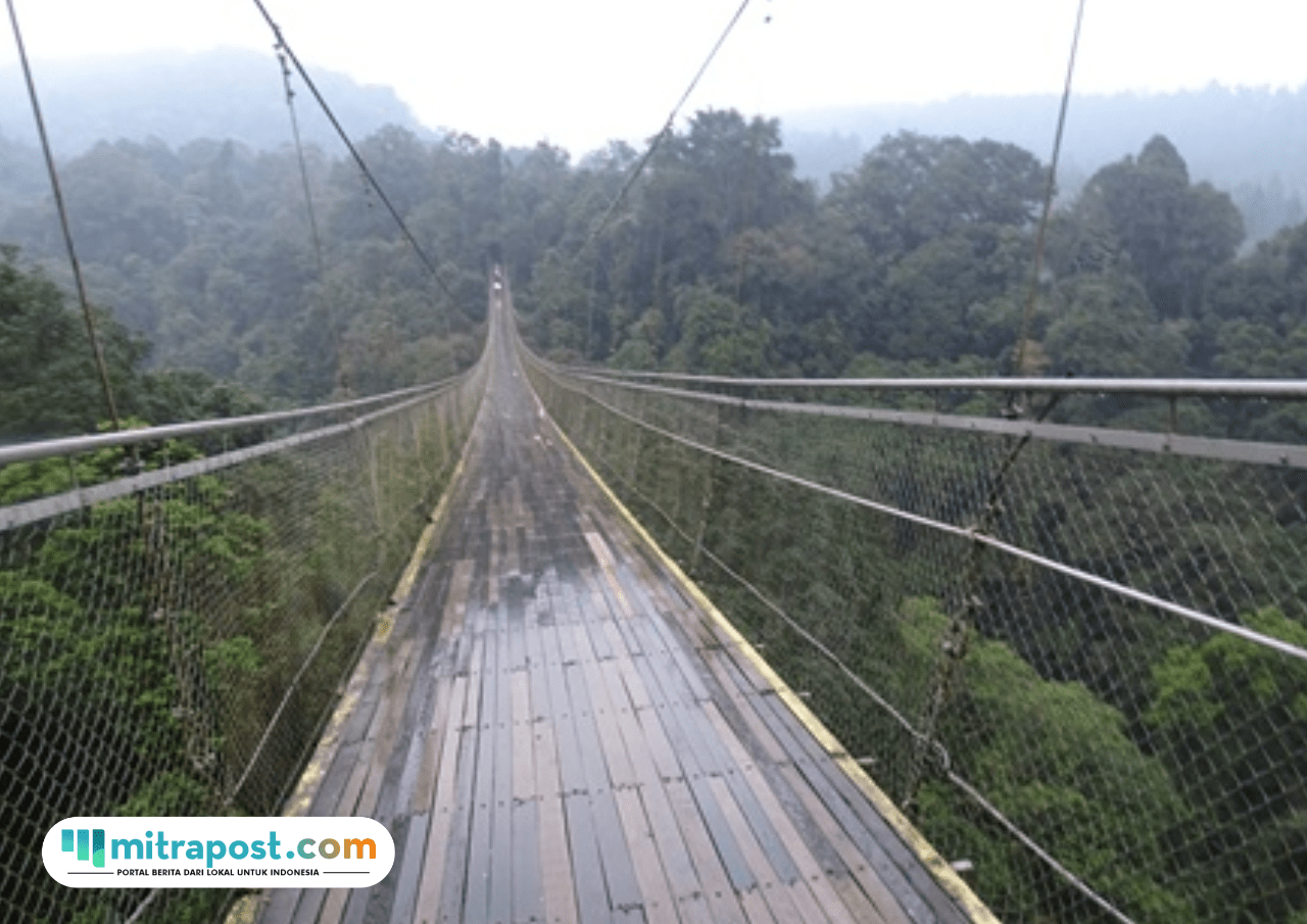 Destinasi Wisata Jembatan Gantung Situ Gunung Sukabumi Jadi yang Terpanjang se-Asia Tenggara