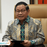 Gubernur DKI Jakarta Secara Resmi Larang Pembangunan Lapangan Padel Baru di Zona Perumahan