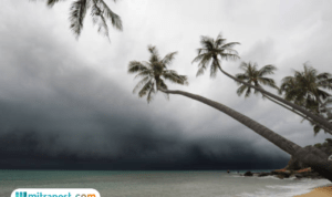 BMKG Peringatkan Siklon Tropis yang Mendekati Daratan, Ancam Cuaca Ekstrem 10-20 Tahun ke Depan