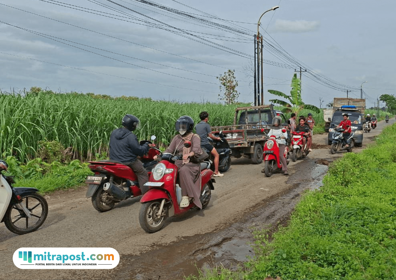 Foto : Jalan rusak antar Kecamatan Tlogowungu-Wedarijaksa tepat Desa Wonorejo ditanami pohon pisang, Sabtu (21/02/2026). (Sumber. Mitrapost.com/ Ilham) Perbaikan Jalan