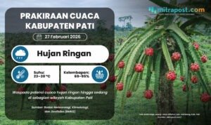 Prakiraan Cuaca Kabupaten Pati 27 Februari 2026: Hujan Ringan hingga Sedang
