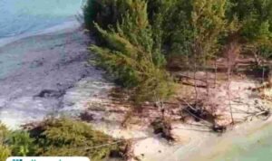 Pulau Gede Kabupaten Rembang /rembangkab