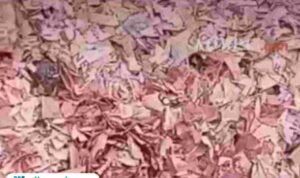 Cacahan Uang Kertas Dalam Jumlah Banyak Ditemukan di TPS Wilayah Bekasi/tangkap layar Cacahan Uang Kertas Dalam Jumlah Banyak Ditemukan di TPS Wilayah Bekasi/tangkap layar