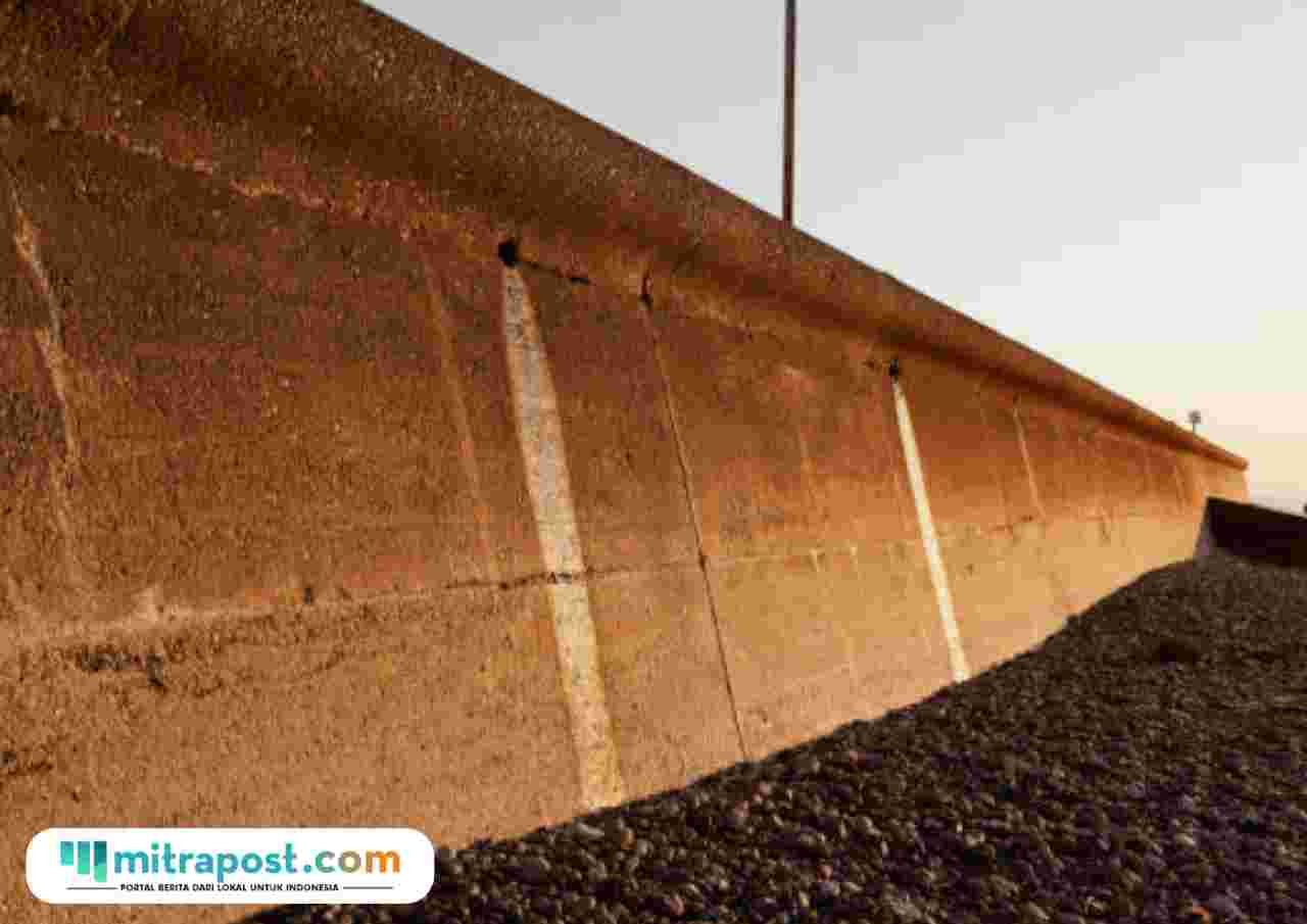 Ilustrasi tanggul laut/istock BRIN