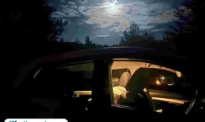 Ilustrasi mobil goyang sejoli/istock