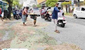 Foto : Warga desa Blaru melakukan swadaya tambal jalan berlubang. (Sumber. Mitrapost.com/ Ilham)