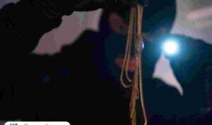 Ilustrasi pencurian/istock