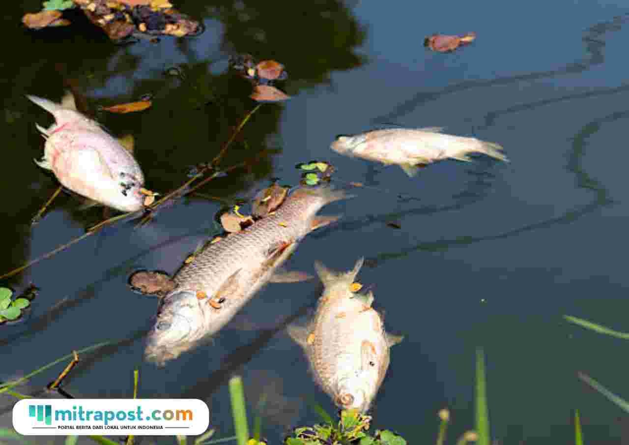 Ilustrasi sungai tercemar/istock