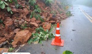 Ilustrasi longsor/istock Ilustrasi longsor/istock