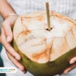 Polemik Menu MBG Berupa Kelapa Muda Utuh, SPPG Sebut Ada Kesalahpahaman