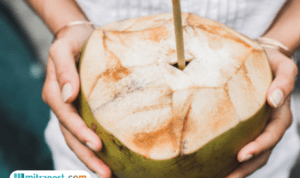 Polemik Menu MBG Berupa Kelapa Muda Utuh, SPPG Sebut Ada Kesalahpahaman