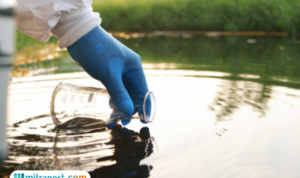 Pemerintah Minta Perusahaan Tangani Dampak Lingkungan Kebakaran Pabrik Pestisida Tangsel